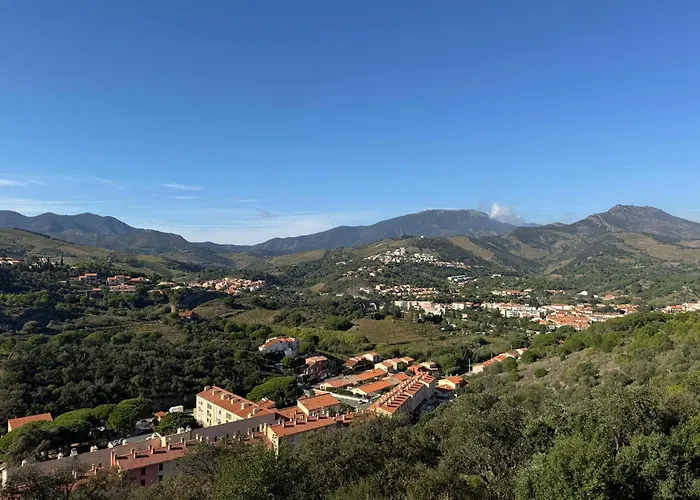 3 Pieces Avec Terrasse Et Wifi A - Fr-1-309-459 * Banyuls-sur-Mer